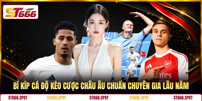 Bí kíp cá độ kèo cược Châu Âu chuẩn chuyên gia lâu năm
