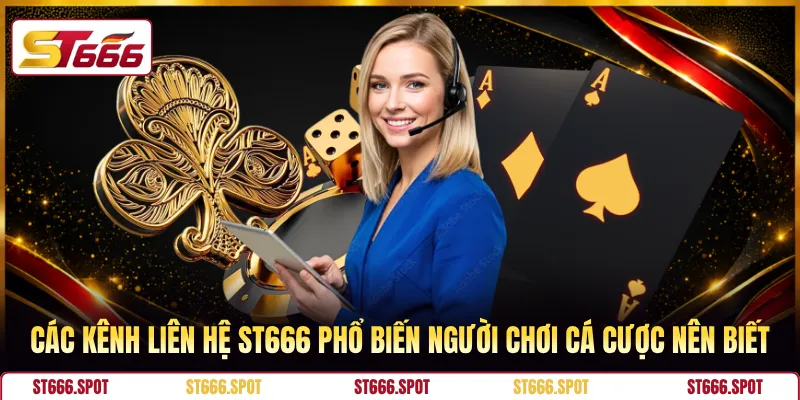 Các kênh liên hệ ST666 phổ biến người chơi cá cược nên biết