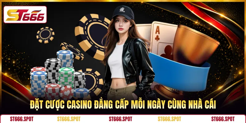 Đặt cược casino đẳng cấp mỗi ngày cùng nhà cái